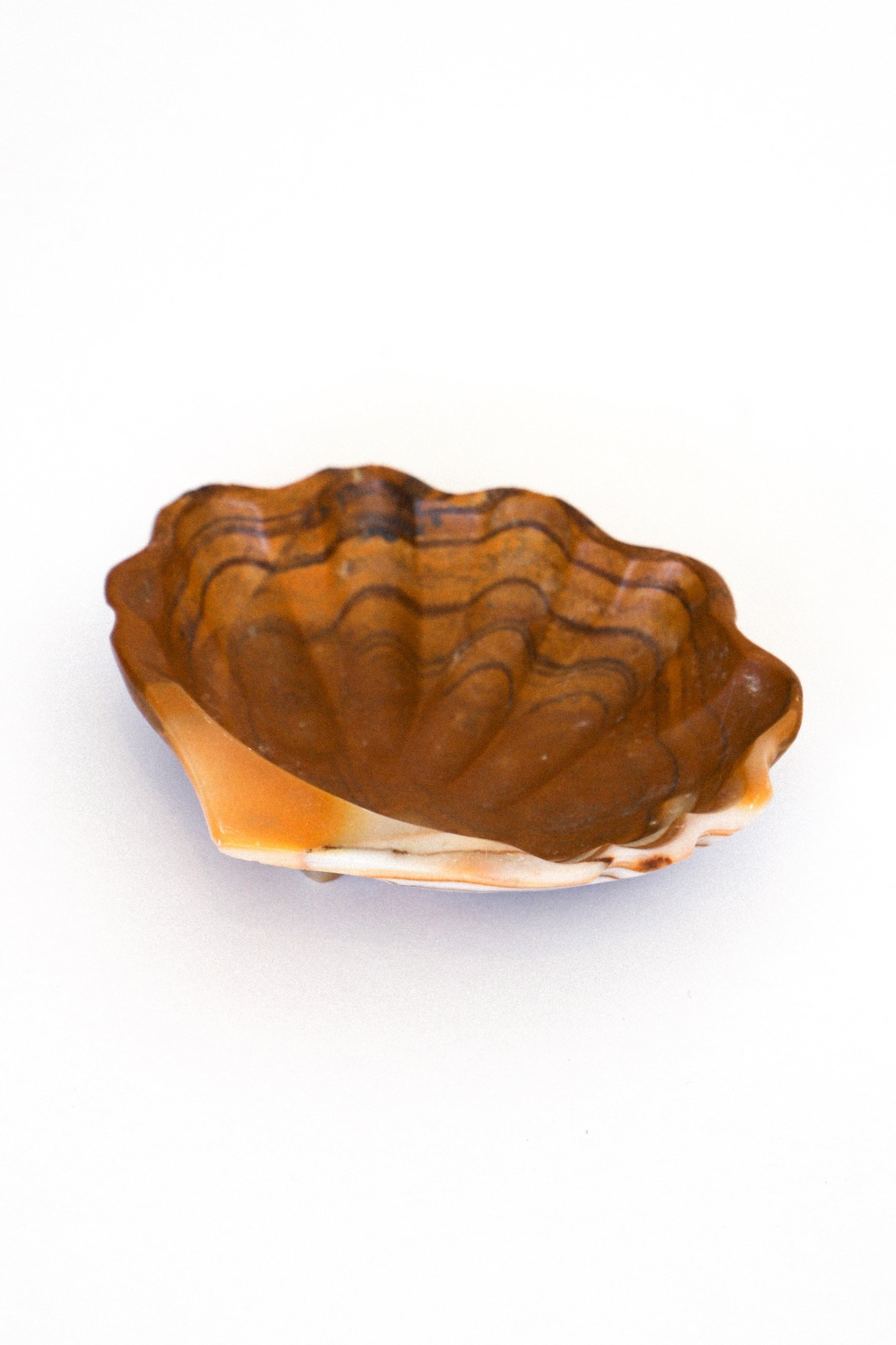 Onyx Shell Dish