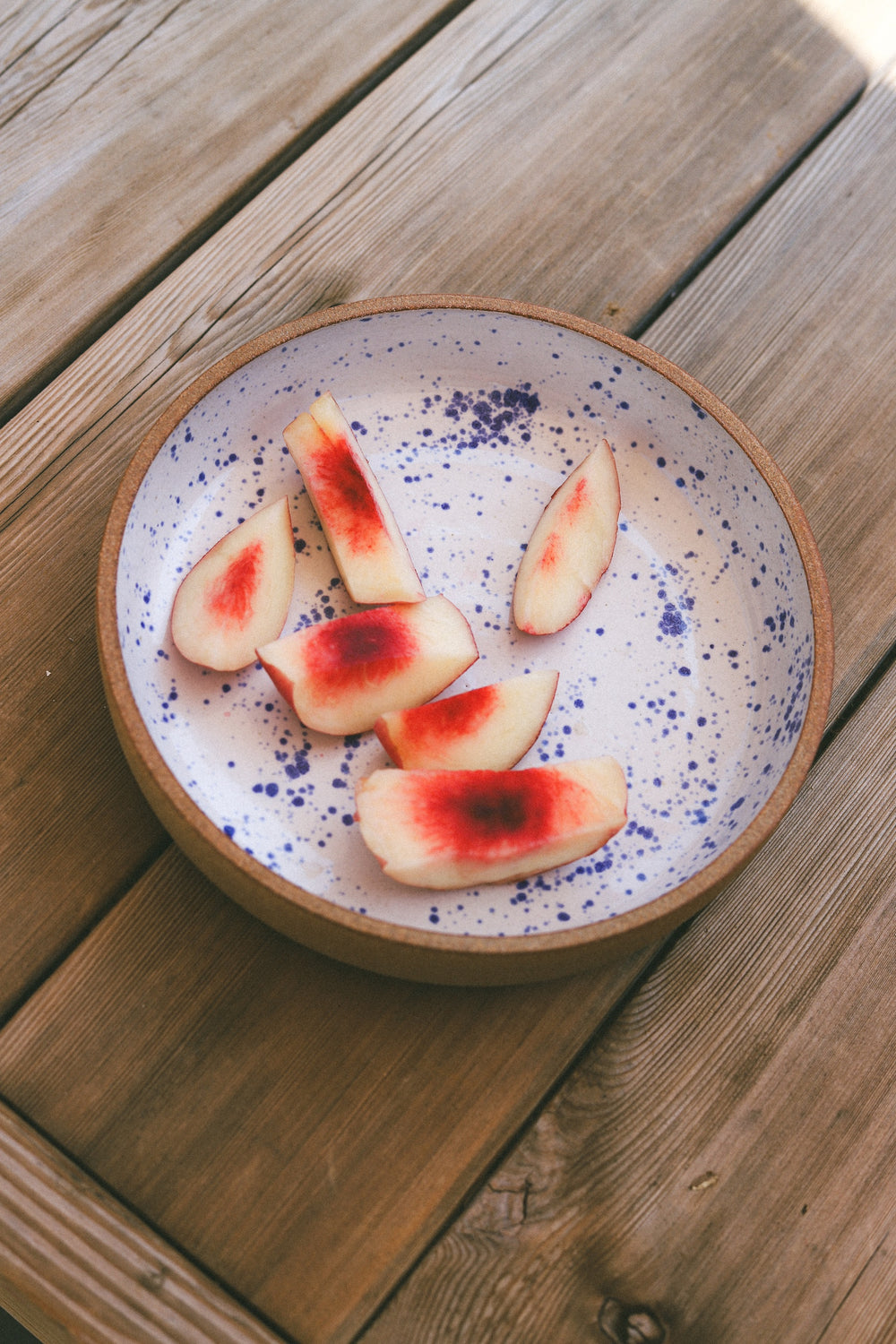 Blue Speckled Plate