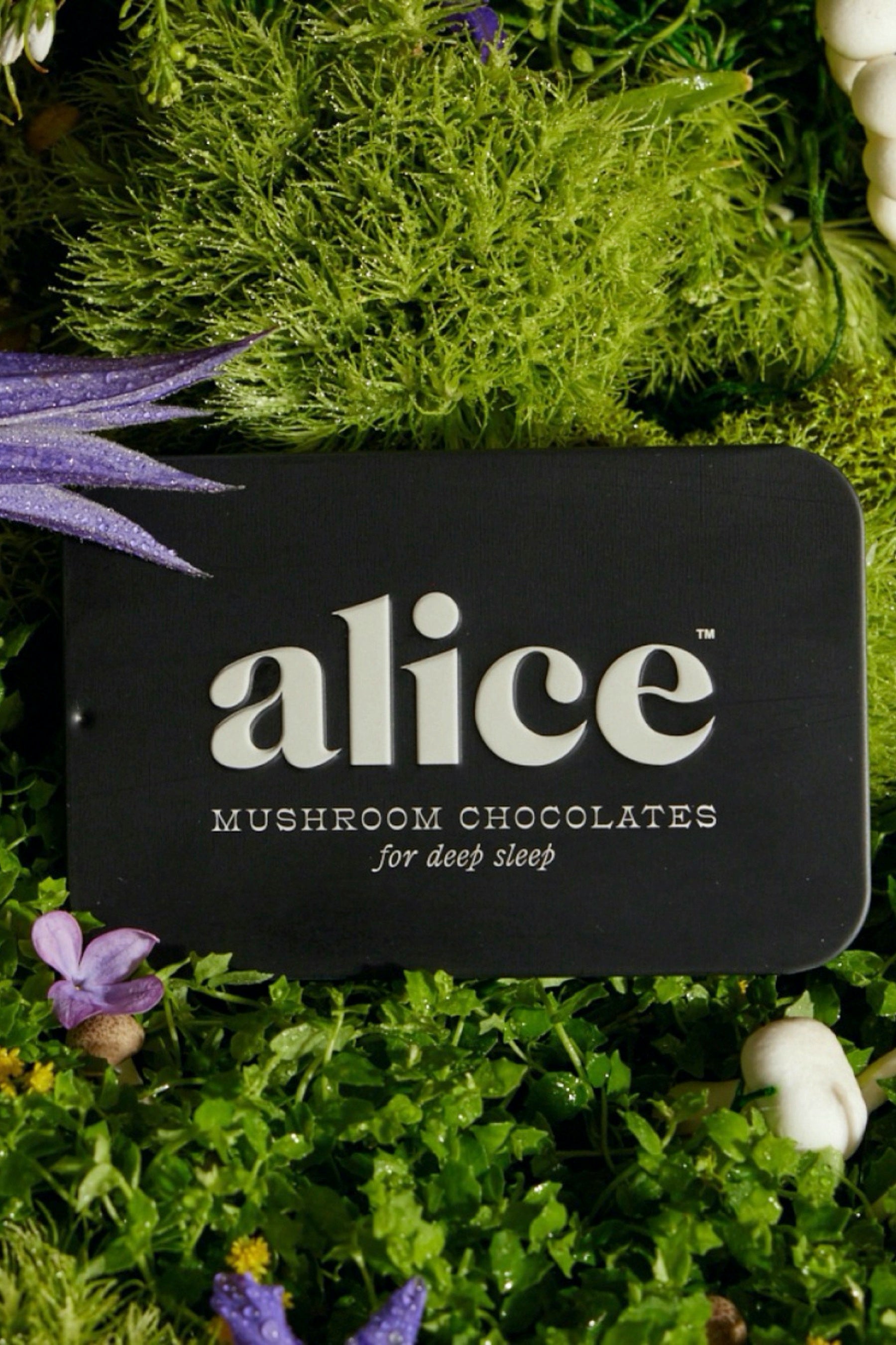 Nightcap Mushroom Chocolate