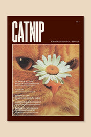 Catnip Magazine