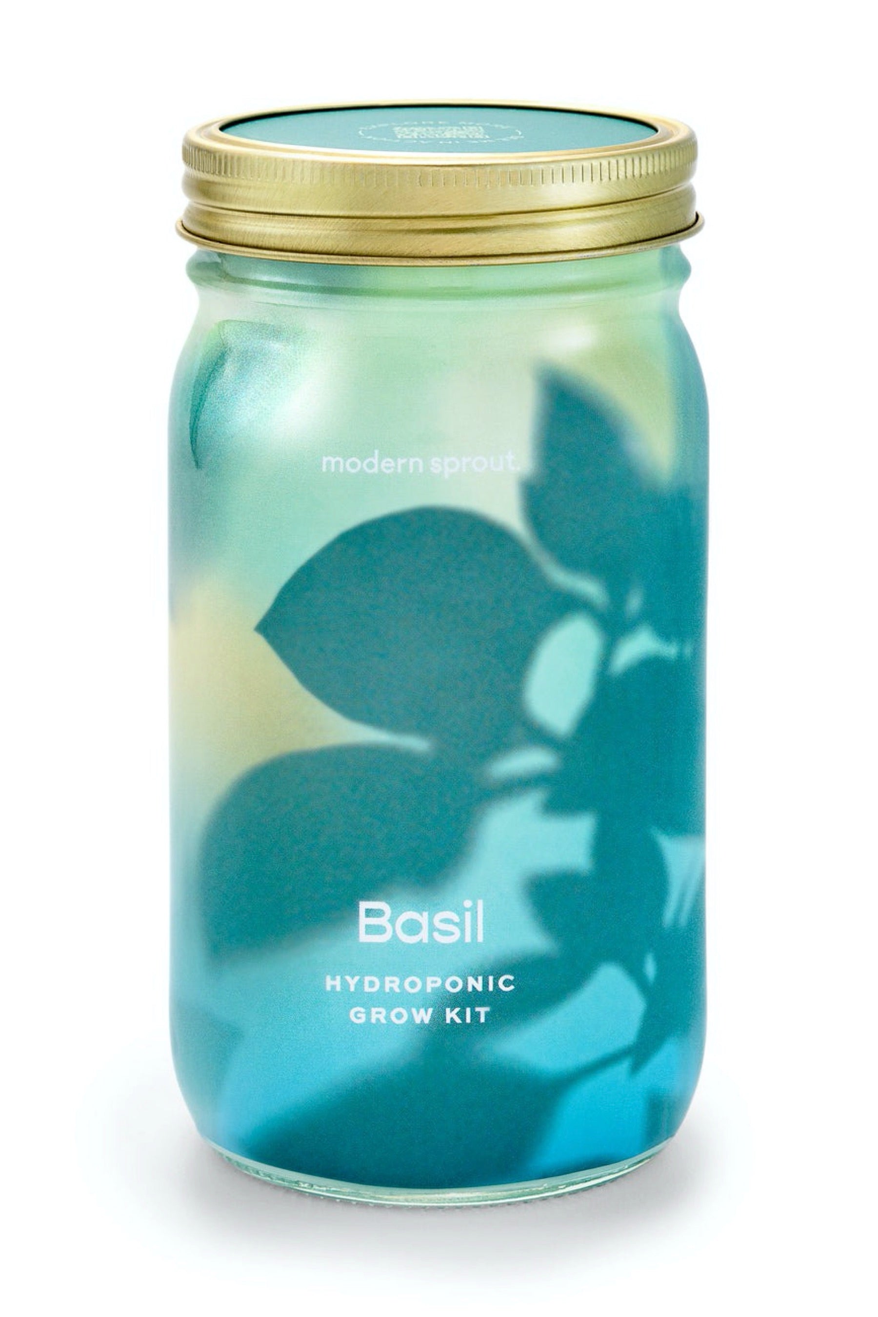 Basil Garden Jar